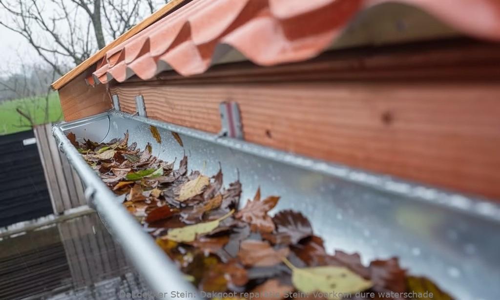 Dakgoot reparatie Stein: Voorkom dure waterschade