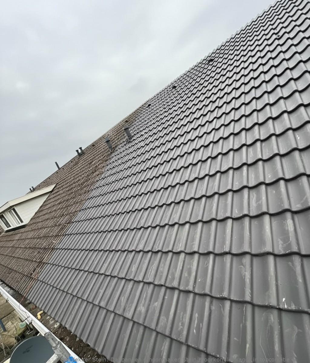 Dakpannen Schoonmaken Stein