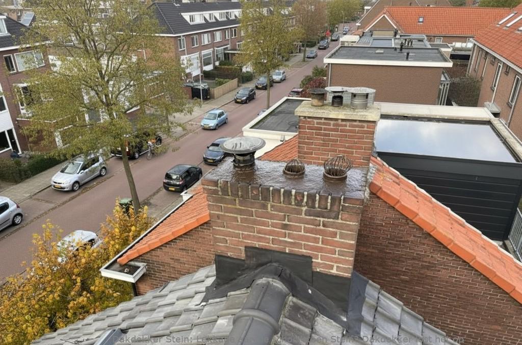 Lekkage Aan De Schoorsteen Stein