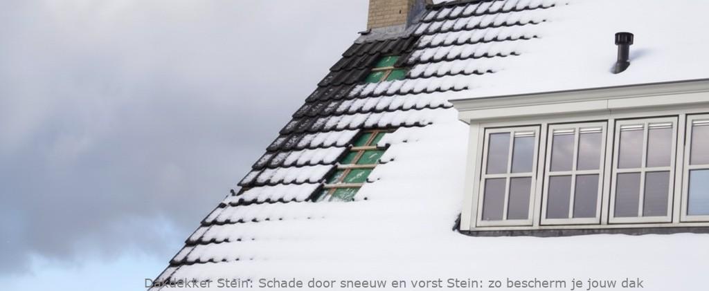 Schade Door Sneeuw En Vorst Stein